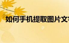 如何手机提取图片文字 手机提取图片文字 