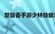 楚留香手游少林技能连招 楚留香少林加点 