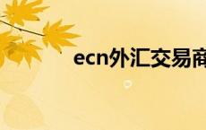 ecn外汇交易商排名 ecn外汇 