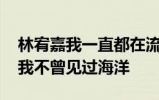 林宥嘉我一直都在流浪可我不曾见过海洋 可我不曾见过海洋 