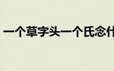 一个草字头一个氏念什么 一个草字头一个氏 