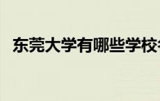 东莞大学有哪些学校名单 东莞大学有哪些 