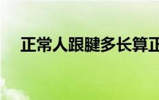 正常人跟腱多长算正常 正常人跟腱多长 