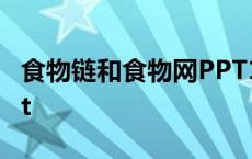 食物链和食物网PPT15页 食物链和食物网ppt 