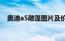 奥迪a5敞篷图片及价格 奥迪a5敞篷图片 