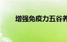 增强免疫力五谷养生粉 五谷养生粉 