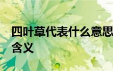 四叶草代表什么意思 四叶草的含义 四叶草的含义 