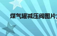 煤气罐减压阀图片大全 煤气罐减压阀 