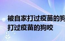 被自家打过疫苗的狗咬划破皮怎么办 被自家打过疫苗的狗咬 