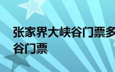 张家界大峡谷门票多少钱一张票 张家界大峡谷门票 