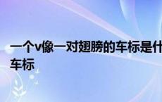 一个v像一对翅膀的车标是什么国产品牌 一个v像一对翅膀的车标 