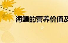 海鳝的营养价值及功效与作用 海鳝 