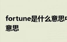 fortune是什么意思中文视频 fortune是什么意思 