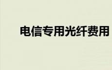 电信专用光纤费用 电信专线光纤价格 