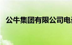 公牛集团有限公司电话 公牛集团有限公司 