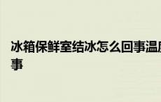 冰箱保鲜室结冰怎么回事温度怎么调 冰箱保鲜室结冰怎么回事 