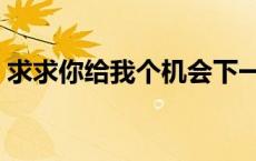 求求你给我个机会下一句 求求你给我个机会 