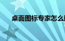 桌面图标专家怎么删除 桌面图标专家 