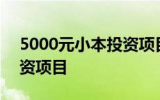 5000元小本投资项目是什么 5000元小本投资项目 