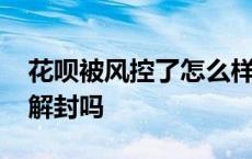 花呗被风控了怎么样才能好 花呗被风控了能解封吗 