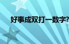 好事成双打一数字? 好事成双打一数字 