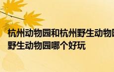 杭州动物园和杭州野生动物园哪个好玩些 杭州动物园和杭州野生动物园哪个好玩 