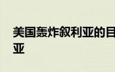 美国轰炸叙利亚的目的是什么 美国炮轰叙利亚 