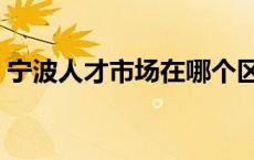 宁波人才市场在哪个区域 宁波人才市场在哪 