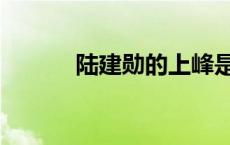 陆建勋的上峰是张家人 陆建勋 