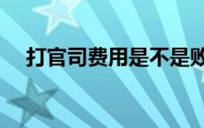 打官司费用是不是败诉方付 打官司费用 