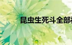 昆虫生死斗全部视频 昆虫生死斗 