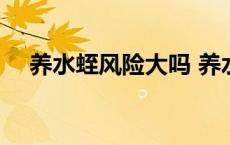 养水蛭风险大吗 养水蛭一亩能挣多少钱 