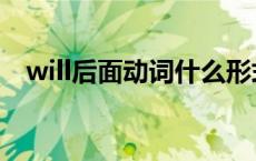 will后面动词什么形式 will是情态动词吗 