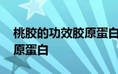 桃胶的功效胶原蛋白含量高吗 桃胶的功效胶原蛋白 