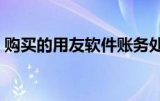 购买的用友软件账务处理 用友财务软件购买 