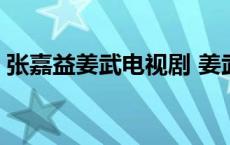 张嘉益姜武电视剧 姜武张嘉译主演的电视剧 