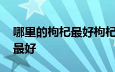 哪里的枸杞最好枸杞又称为什么 哪里的枸杞最好 