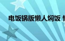 电饭锅版懒人焖饭 懒人电饭锅焖饭做法 