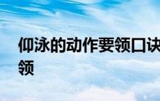 仰泳的动作要领口诀简述视频 仰泳的动作要领 