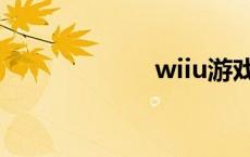 wiiu游戏机 wiiu 