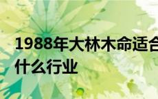 1988年大林木命适合做什么行业 木命适合做什么行业 