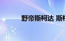 野帝斯柯达 斯柯达野帝怎么样 