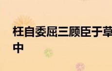 枉自委屈三顾臣于草庐之中 三顾臣于草庐之中 