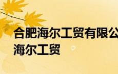 合肥海尔工贸有限公司手机部门怎么样 合肥海尔工贸 