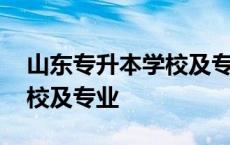 山东专升本学校及专业对照表 山东专升本学校及专业 