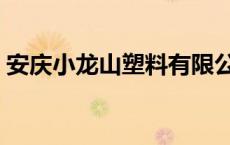 安庆小龙山塑料有限公司怎么样 安庆小龙山 