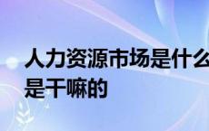 人力资源市场是什么性质单位 人力资源市场是干嘛的 