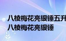 八棱梅花亮银锤五升门大敌不铙是什么生肖 八棱梅花亮银锤 