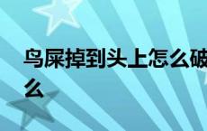 鸟屎掉到头上怎么破解 鸟屎掉到头上寓意什么 