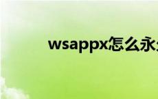 wsappx怎么永久关闭 wsappx 